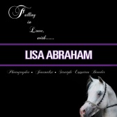 n.24 - Lisa Abraham
